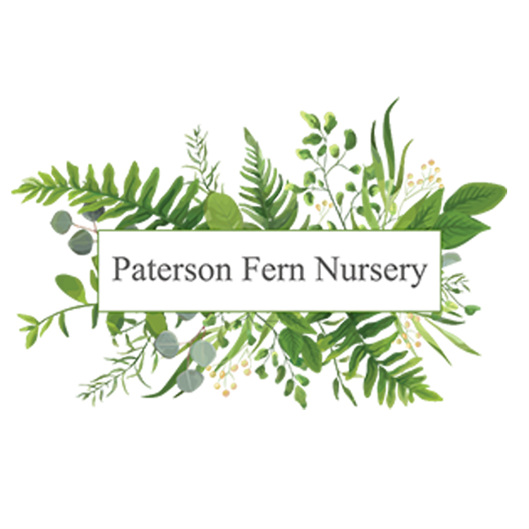 Paterson Fern Nursery